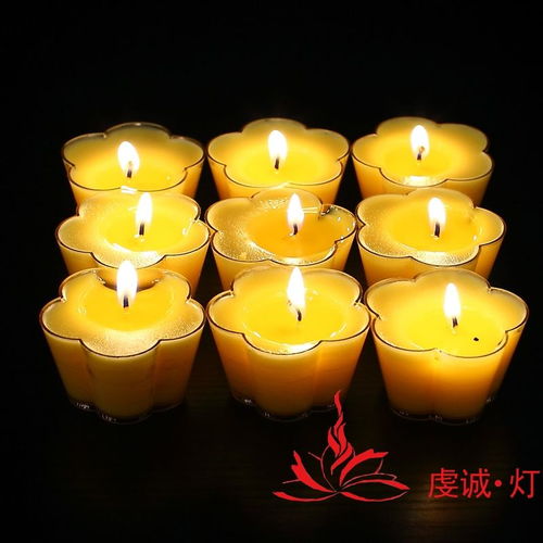 廠家直銷10小時(shí)10粒塑料五葉梅花蠟燭酥油粒無(wú)煙酥油燈蠟燭包郵